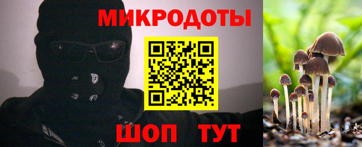 Галлюциногенные грибы прущие грибы  Псилоцибиновые грибы мицелий  Ярославль  Вход с VPN 